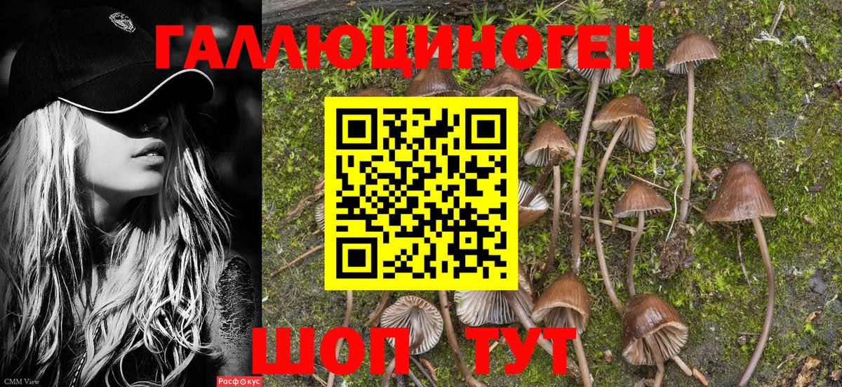 Орск  Галлюциногенные грибы мухоморы  Псилоцибиновые грибы Cubensis  купить   Вход с VPN 